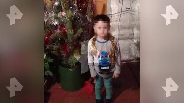 Мать растерзанного псами мальчика в Башкирии рассказала о трагедии