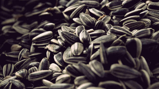Самые полезные семечки и зёрна