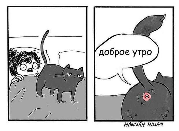 Проблемы жизни с котом в забавном комиксе (33 картинки)