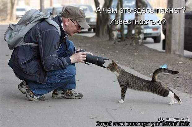 Мысли вслух :)