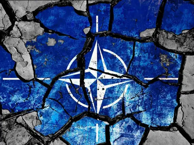 Жарихин: НАТО уже участвует в военном конфликте на Украине