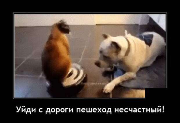 Демотиваторы Демотиваторы