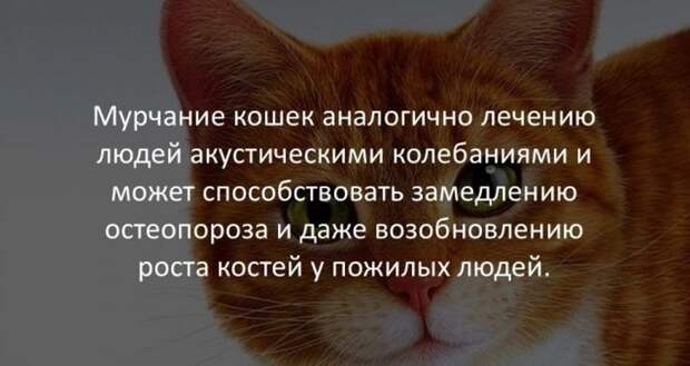Интересные факты