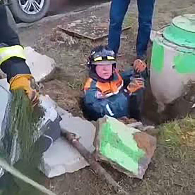 Спасенные в Москве упитанные ондатры попали на видео