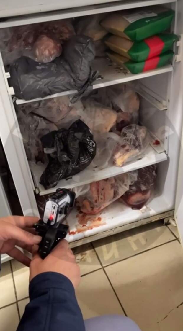 Фото: скрин видео "Русская община".