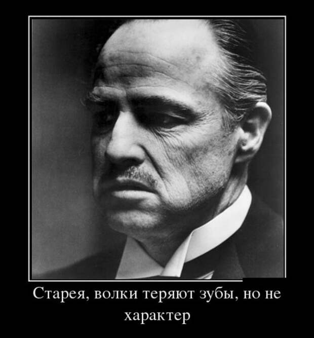 Демотиваторы (30 фото)
