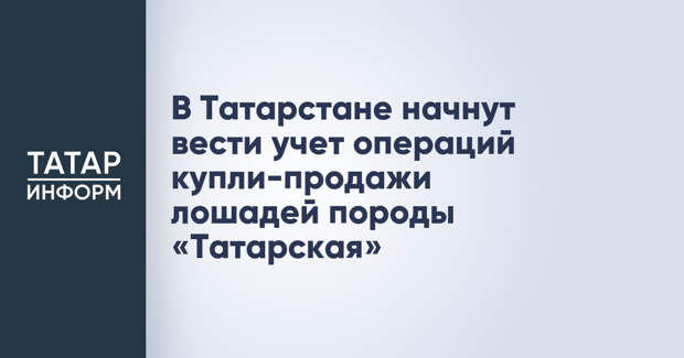 В Татарстане начнут вести учет операций купли-продажи лошадей породы «Татарская»