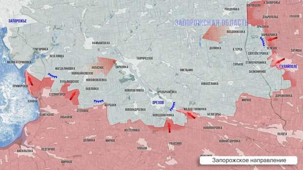 «Делайте выводы. Не стоит ждать», – укро-политолог предупреждает население об охвате Запорожья русскими