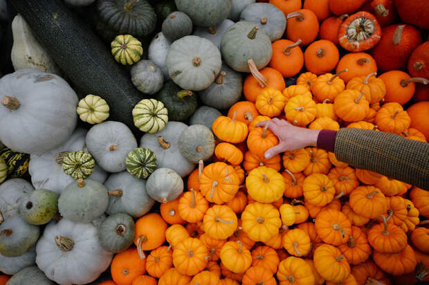 autumn25 В воздухе витает осень