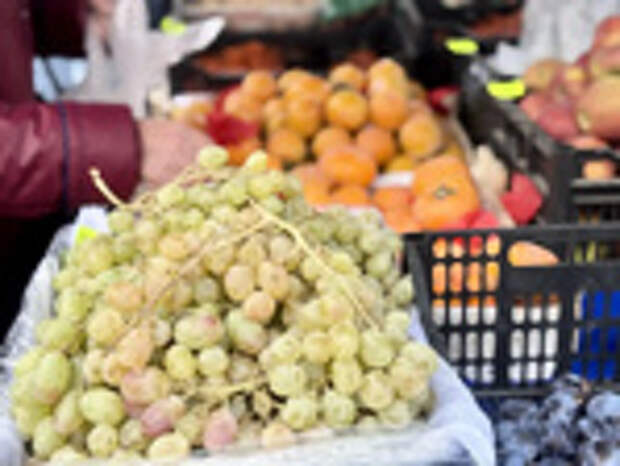 Фото: Мэрия Барнаула