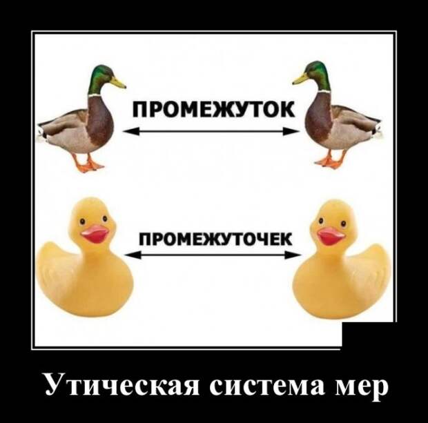 Демотиваторы (30 фото)