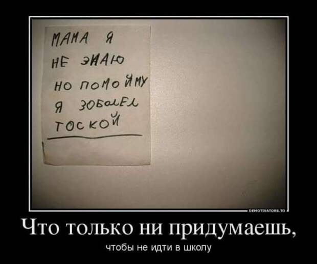 Прикольные демотиваторы с надписями. Подборка chert-poberi-dem-chert-poberi-dem-55000330082020-2 картинка chert-poberi-dem-55000330082020-2