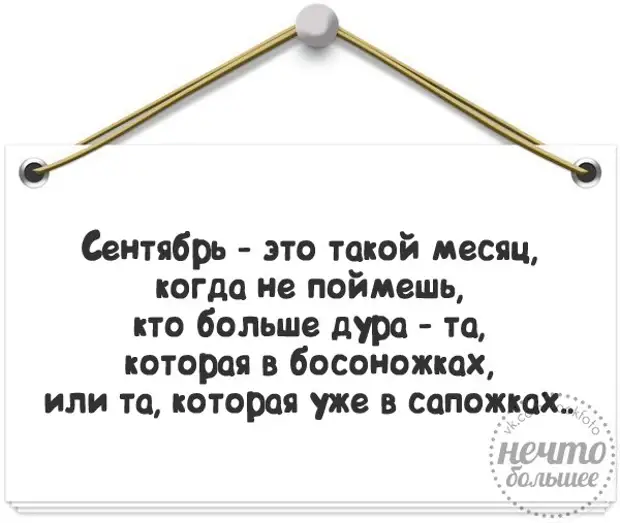 Прикольные статусы лезть на стену. Прикольные смешные статусы единство. Прикольные статусы разгадка. Сентябрь это такой месяц когда не. Традиции шуточные статусы.