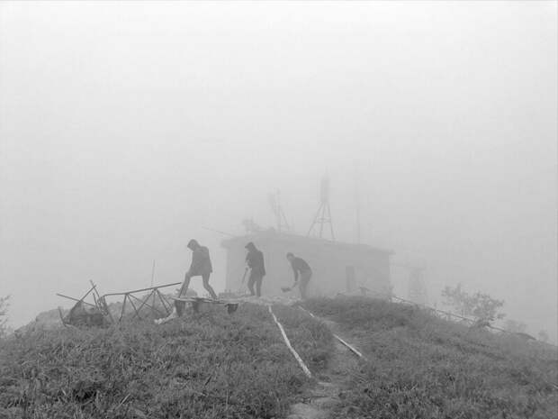 Рабочие в тумане. Фотограф: Jiahao Zhang в мире, животные, кадр, люди, природа, смартфон, фото, фотограф