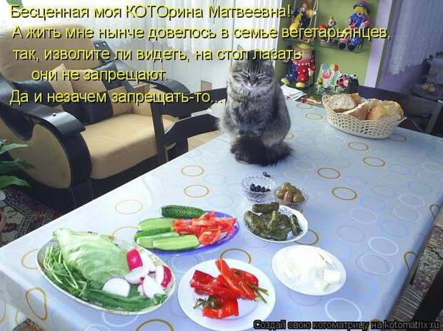 Котоматрицы