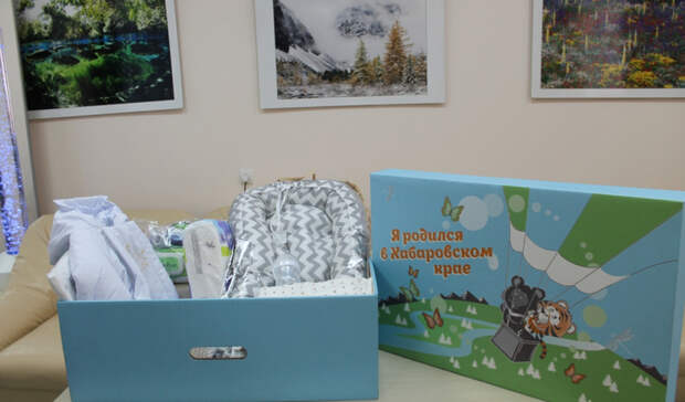 Михаил Дегтярёв внедряет в Хабаровском крае лучшие практики соцподдержки семьи