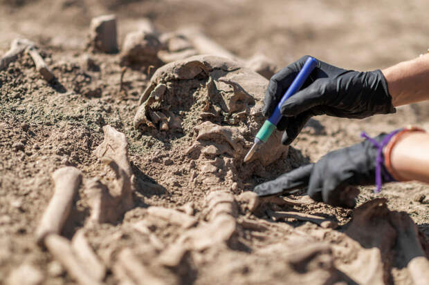 Arkeonews: в Нидерландах нашли скелет, который может принадлежать д'Артаньяну