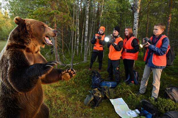 Встреча с хищником: как поиски семьи Усольцевых в лесу обернулись опасным столкновением с медведем