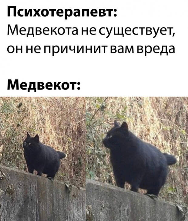 мемас