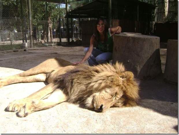 extreme-zoo_12_(funnypagenet.com)