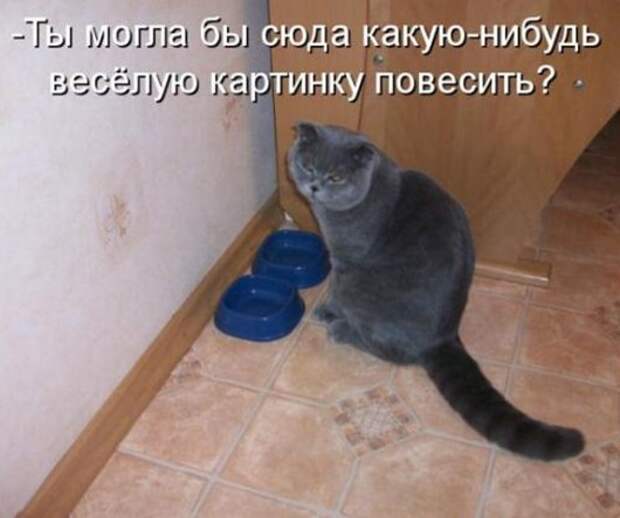 2c95506247db2b8ca33638fa593_prev