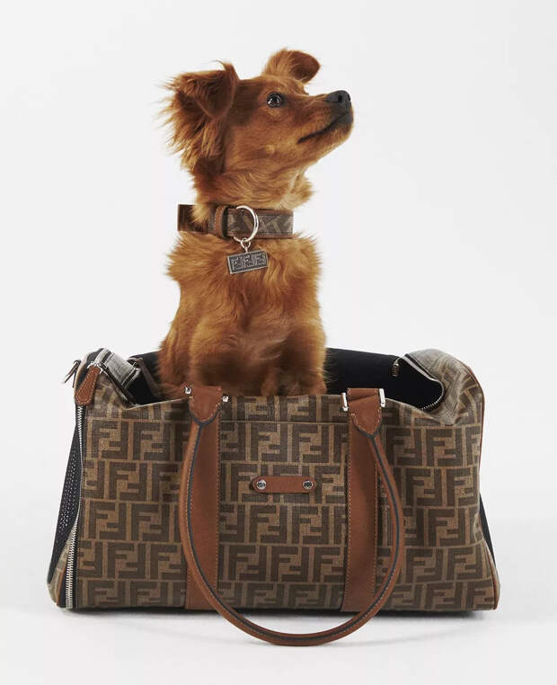 Коллекция Fendi Pet Travel Line Carrier Bag Fendi Pet Travel Line Carrier Bag