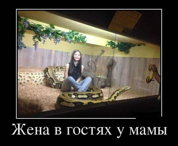 Демотиваторы (30 фото)