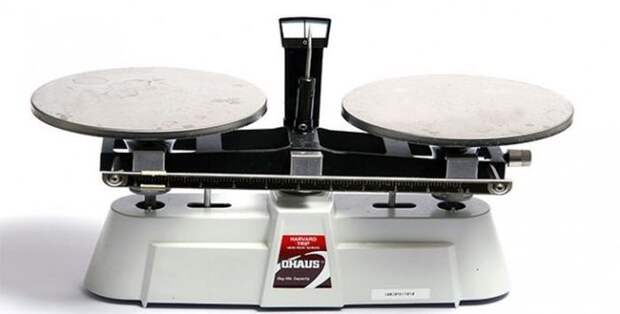 интересное, планета, жизнь, животные, люди, факты