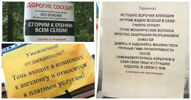 Попробуй не отреагируй на такие-то объявления Попробуй не отреагируй на такие-то объявления