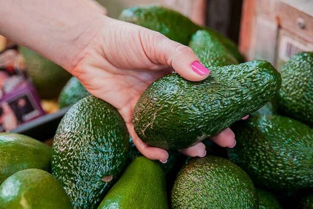 Нужно немного сжать авокадо, чтобы проверить спелость. / Фото: za-pokupkoi.ru