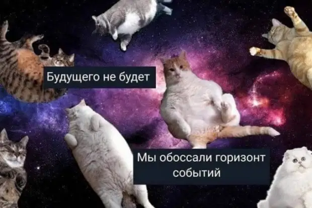 Подборка позитива на начало недели - отборный юмор