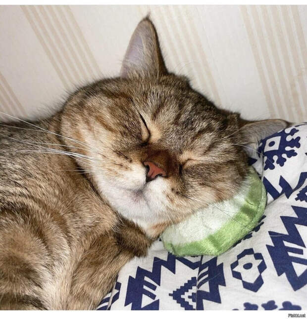 cda6c42d2d1a14c2a35a6996f1053887 (670x700, 464Kb)