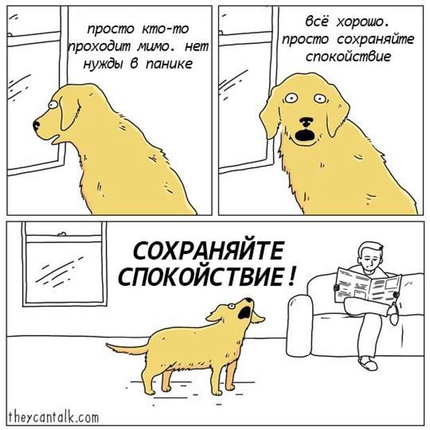 Забавные картинки с надписью для настроения (10 фото)