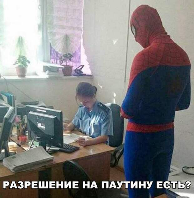 Позитивные и прикольные картинки с надписями со смыслом (12 фото)