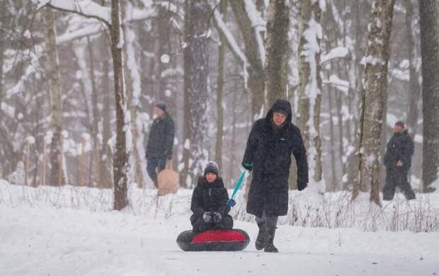 До -3 градусов, небольшой снег и гололёд. С какой погоды начнётся неделя в Петербурге