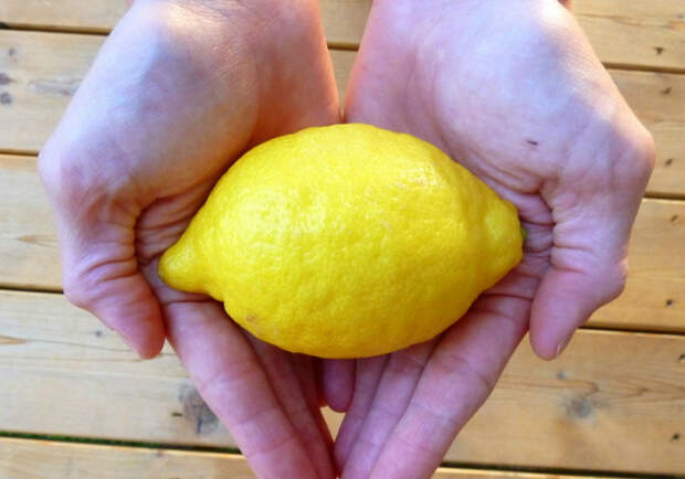 лимонная цедра в кулинарии