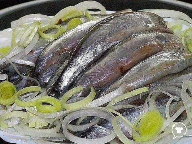 TW74FWtjW2Y (506x380, 74Kb)