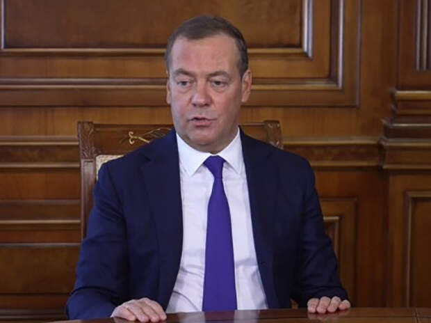 Медведев высказался о «мудацкой мирной инициативе»