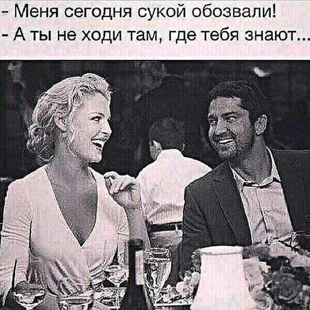 Картинки с надписями, истории и анекдоты