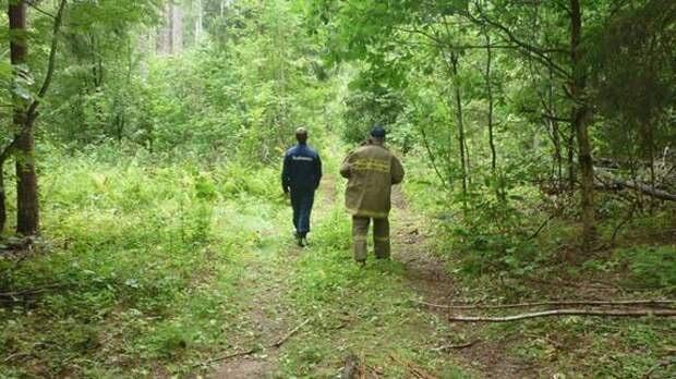 Спасатели МЧС в Хабаровском крае спасли заблудившегося грибника