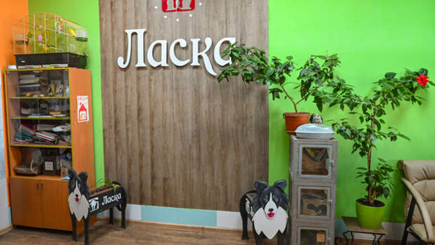 Внутри приюта 