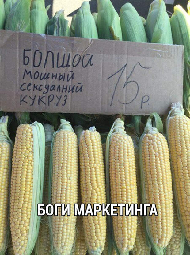 Ночной позитив: смешные картинки и фото (38 шт)