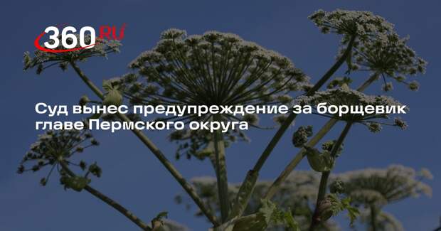 В Пермском крае суд наказал чиновника, предупреждавшего о штрафах за борщевик