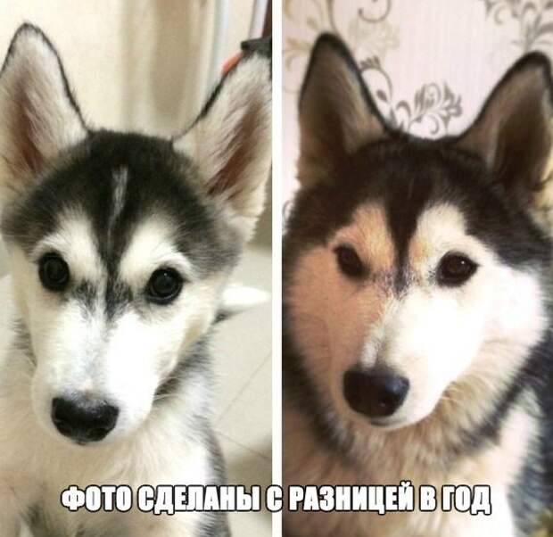 Позитивный пост+142 Позитивный пост+142
