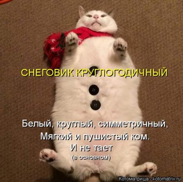 Новая котоматрица (44 шт)