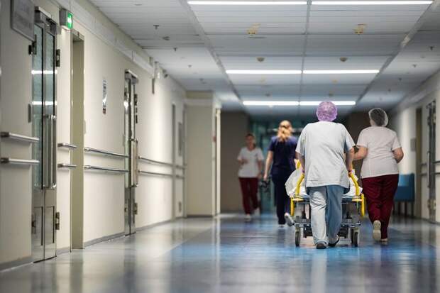 В Подмосковье две семьи отравились кониной и заболели ботулизмом