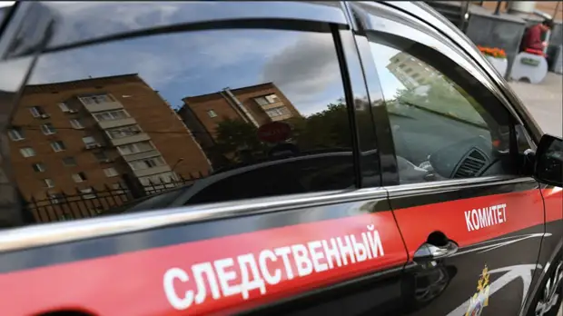 В СК начали проверку после падения наледи на голову годовалому ребёнку в Подмосковье