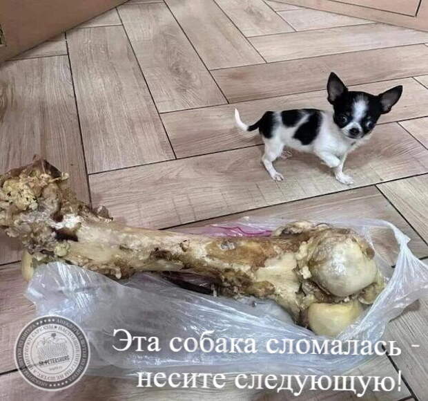 Когда голоден