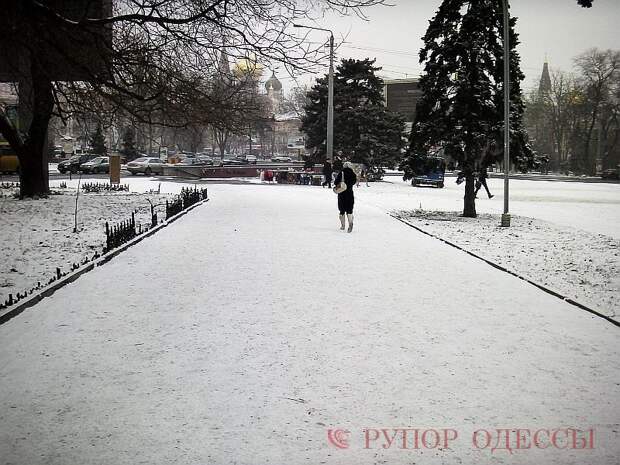Савва стелет. Савва стелет.