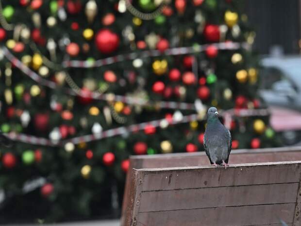 Тобольск начали подготавливать к Новому году